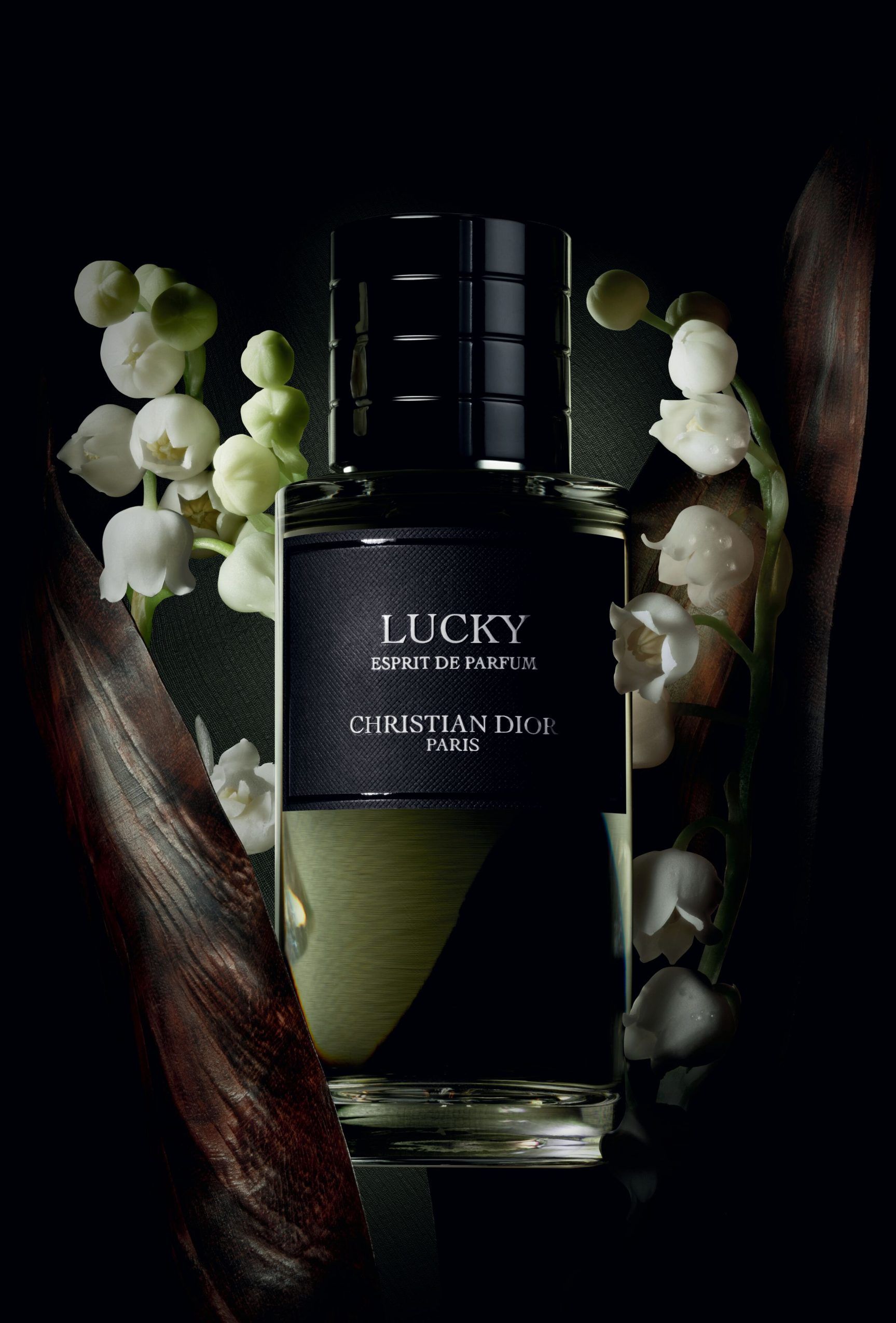 สัตว์ในเขตร้อนแอฟริกา แผนที่ทวีปใต้ คอลเลกชันตัวละครที่แปลกใหม่น่ารัก  รูปภาพเวกเตอร์ถูกแยก ภาพเวกเตอร์สต็อกโดย ©ValeriHadeev 482584554, image size:1727x2550